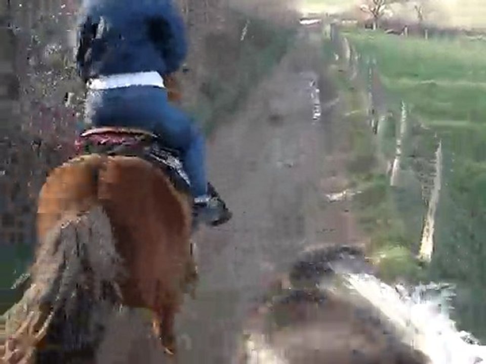 13 mars 2010 fifik au galop sur rubych & moi sur poney