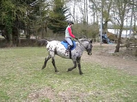 Séance saut 14 Mars 2010