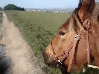 13 mars galop bis