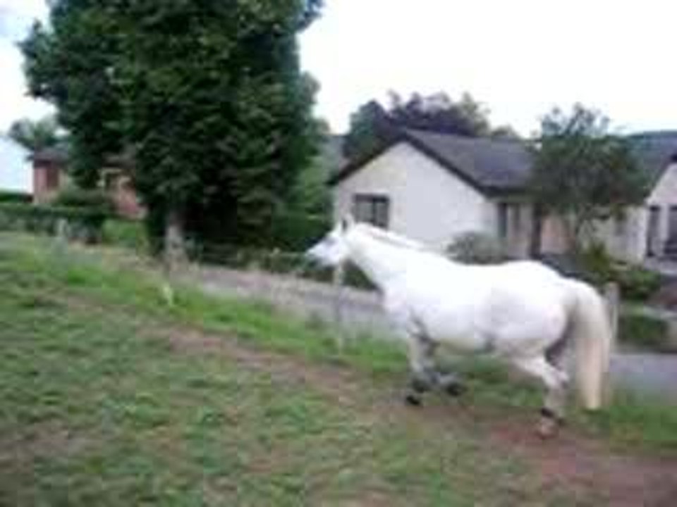 echauffement