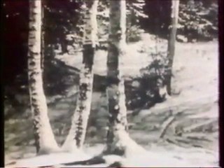 Le Livre Noir du Communisme 1/10