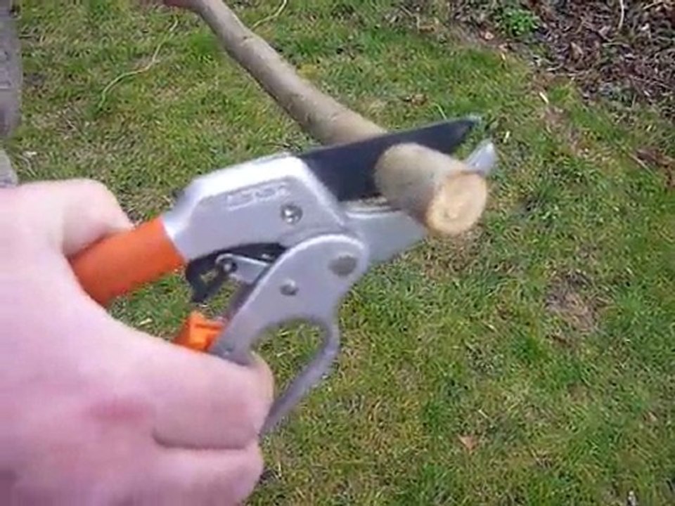 Sécateur à crémaillère