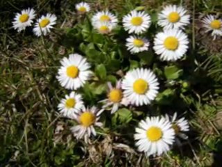 yaylalardan görünüm