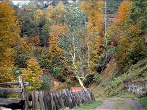 -rize çamlıhemşin-manzara-yaylalar-tulum-kavrun.tr.gg