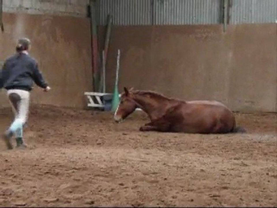 Jythan Etoile & Lhastasia "éthologie"