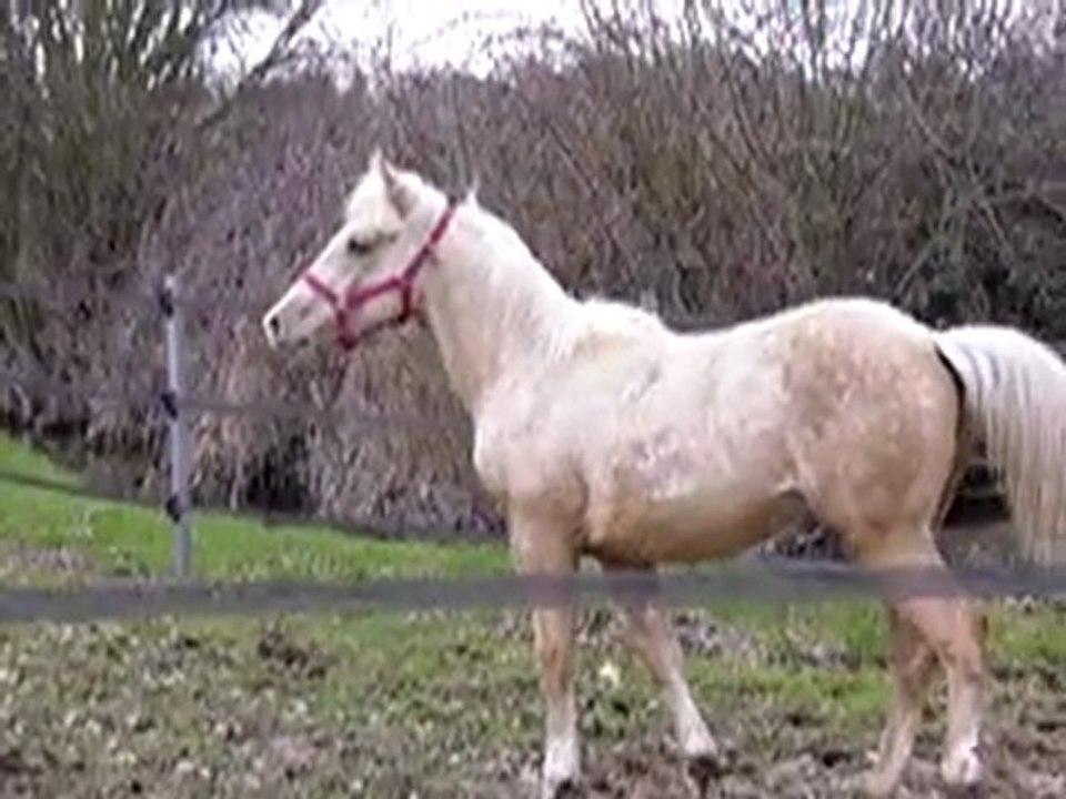 MOV06299 vinaya bléssée mais qui se défoule