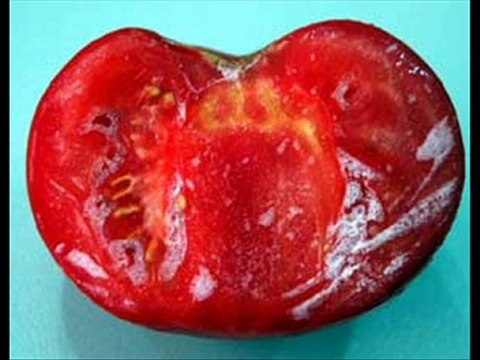 mehmet karakuş dünya fani [ALLAH İNANCI)