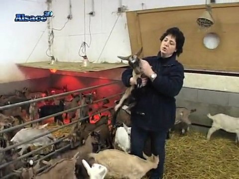 Du côté d'Ici dans les Appalaches Alsaciennes (13/03/2010)