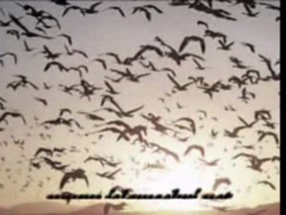 Hz İbrahim Aleyhissalam'ın Kuşları