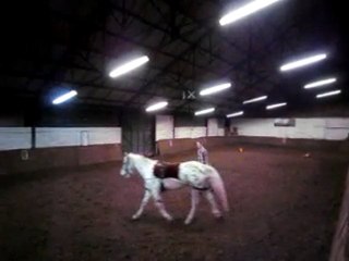 Raphaël travaille son cheval Wenatchee à l'enrènement pessoa