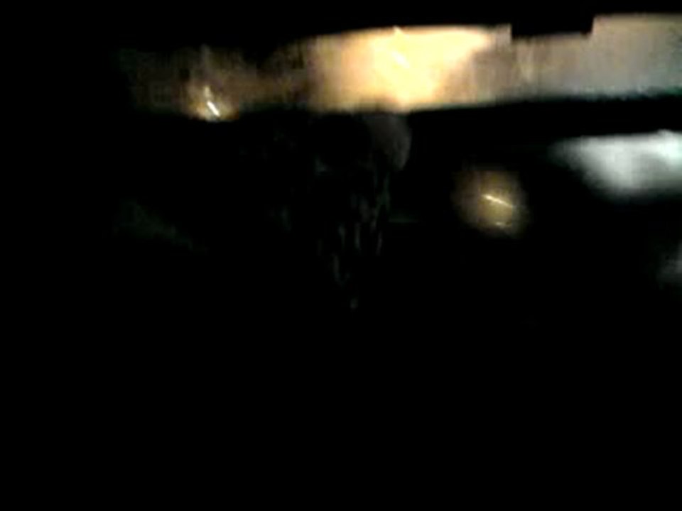 Le nouveau Michel Sardou