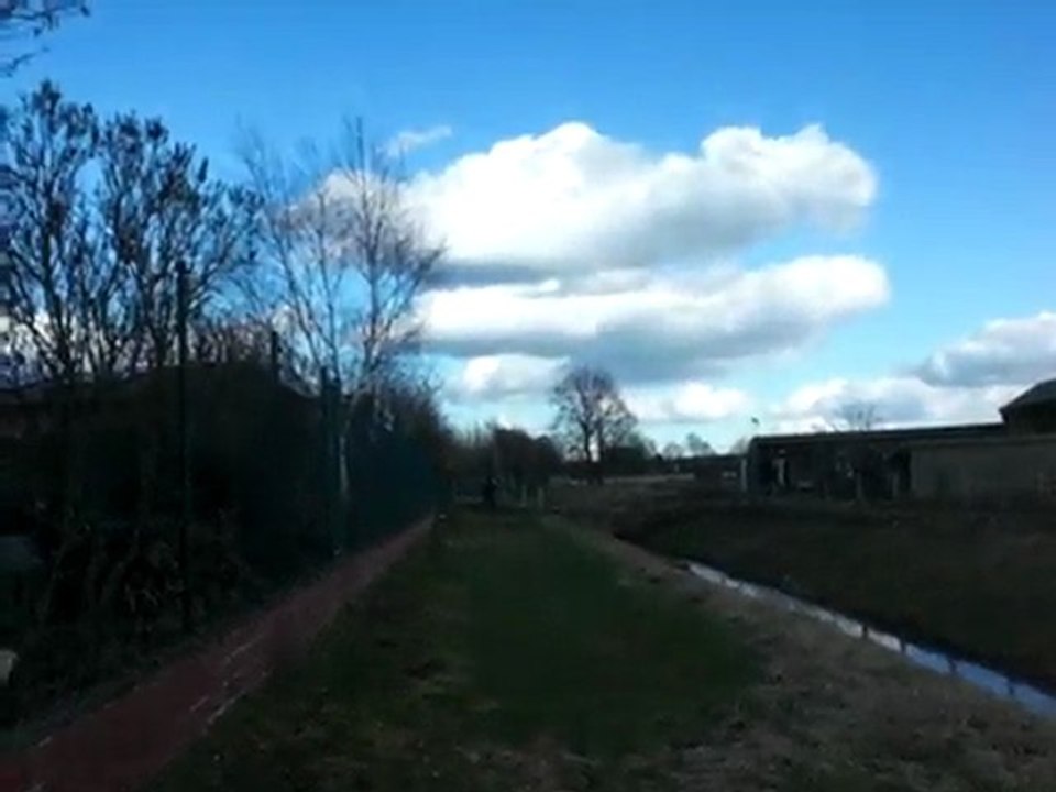 Emma auf der Wiese Teil 1