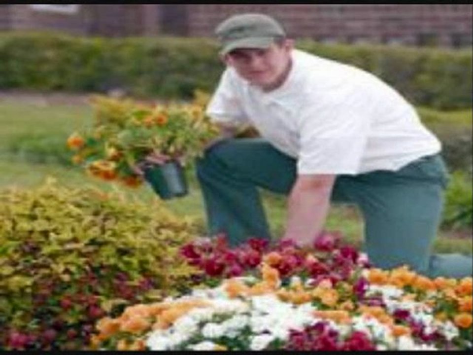Lawn Jockey Flower Mound Lawn Care Radio - Frisco Lewisville