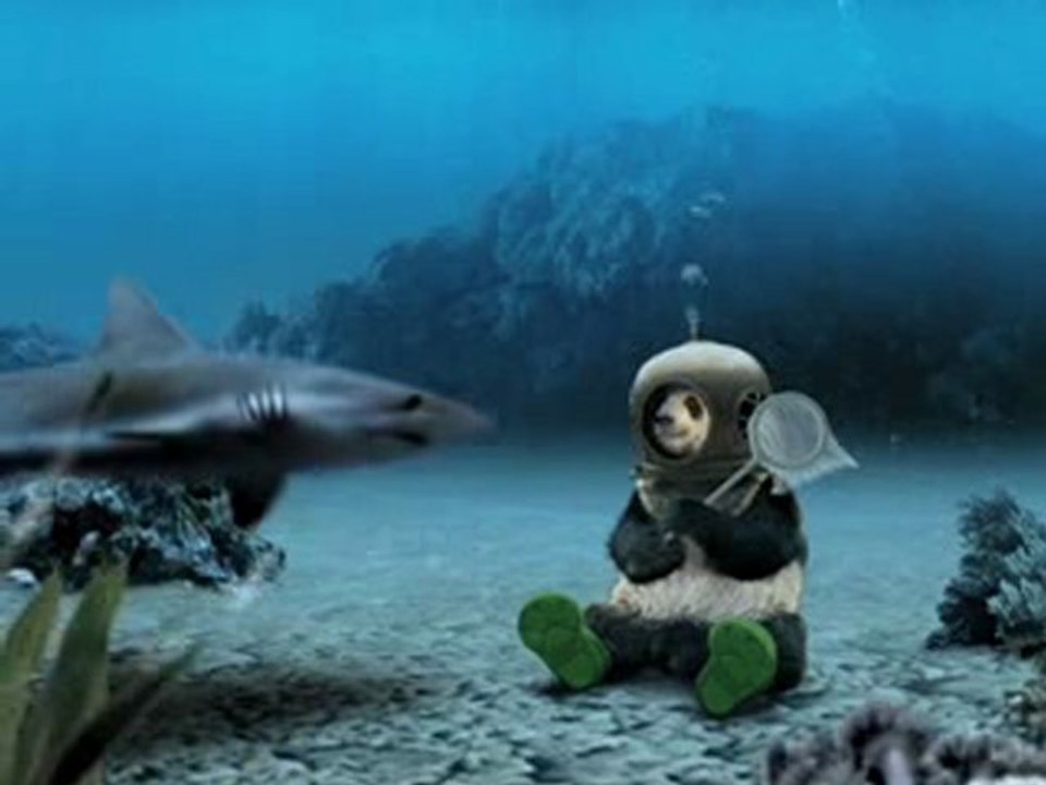 Panda Express - Honey Walnut Shrimp