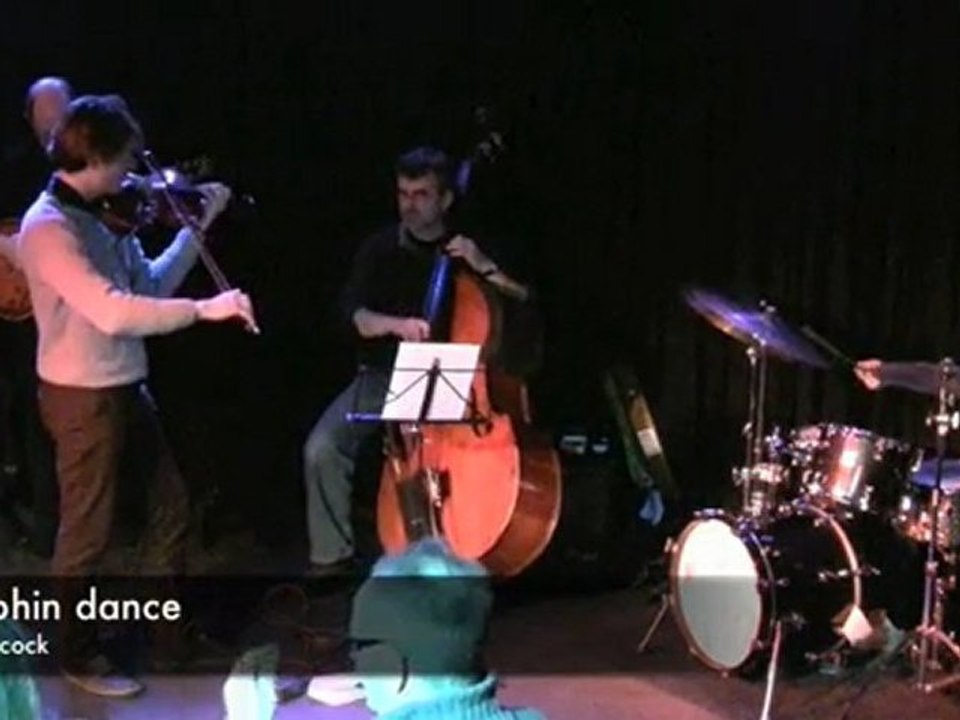 dolphin dance