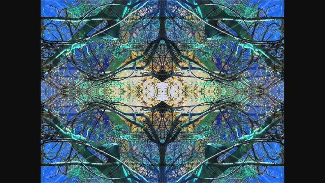 Sculptures-Vivantes en Métamorphose le 12 fevrier 2010