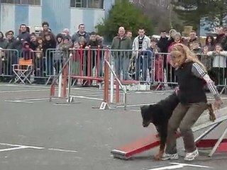 quimper mars 2010 088