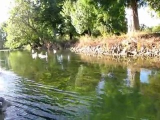 Cognac - La Charente au fil de l'eau