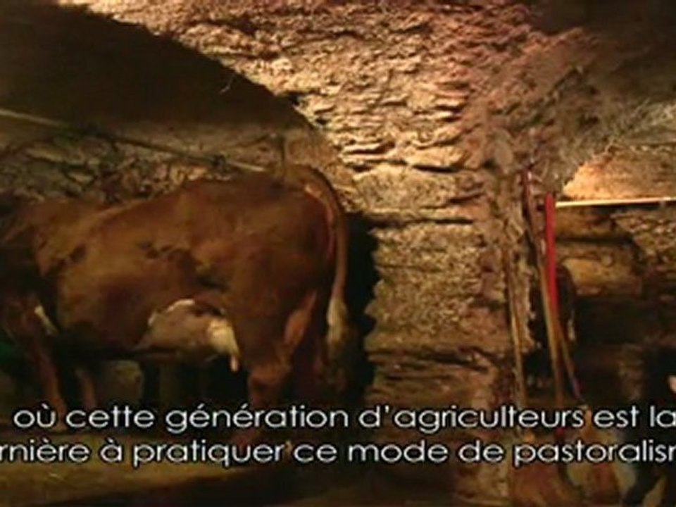 Vie agricole dans la vallée des Avanchers-Valmorel