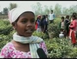 Enfants pauvres  forcés au travail en Inde