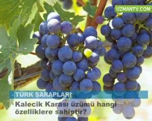Kalecik karası üzümü hangi özelliklere sahiptir