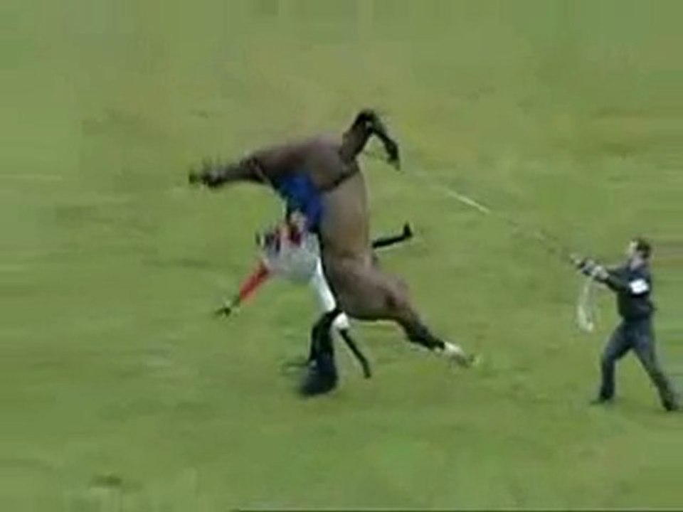 Cheval vs jockey