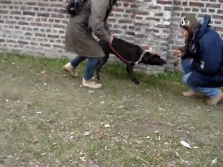 une vidéo de Diane SPA DOUAI 59