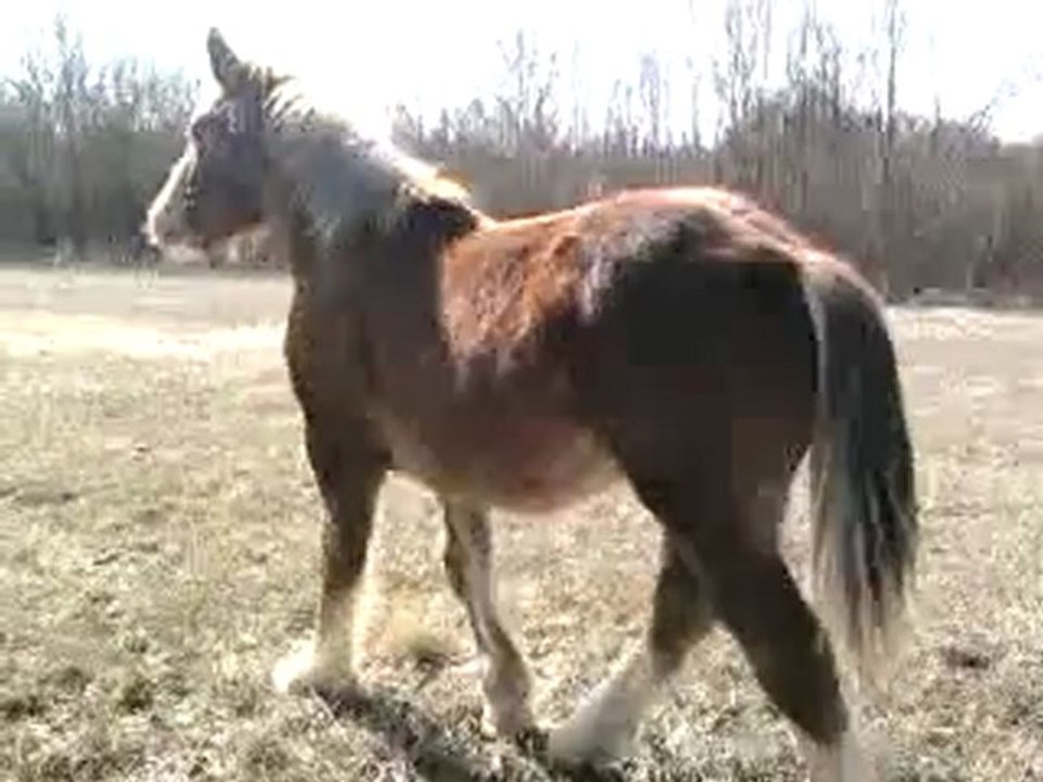 Vidéo0033