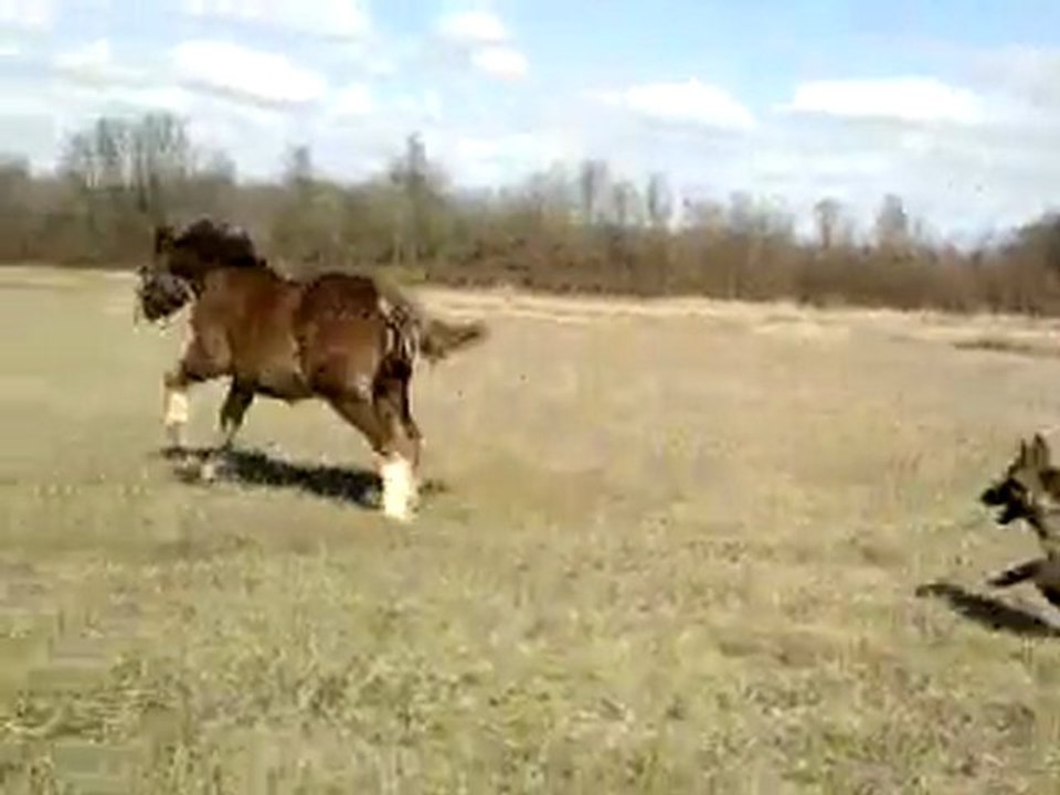 Vidéo0032