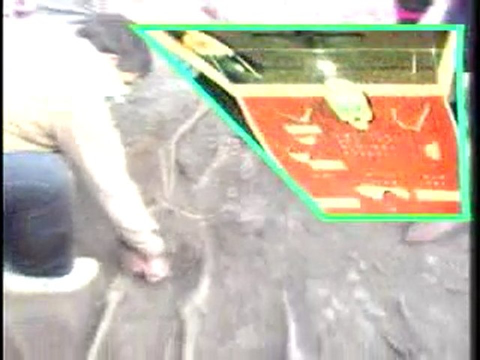 20.Yüzyıda Insanlık Dıramı