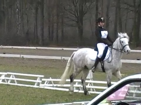 CCE Dressage / Margot - Milton