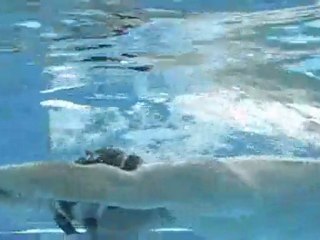 Uckange Evolution Palmes