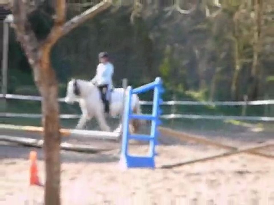 seance15mars2010etho