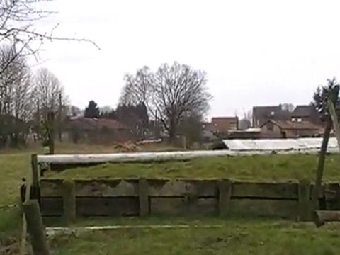 CCE Cross / Margot - Milton