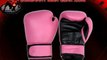 Dominant MMA Gear - Quality MMA Gear Clothes Boxing Gloves