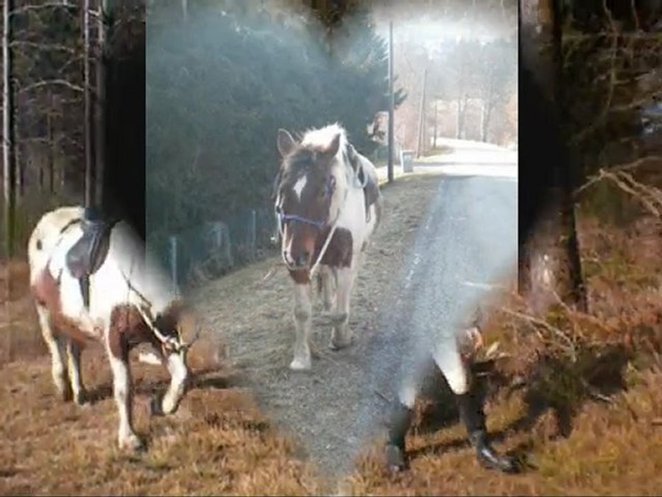 Balade liberté Quasi