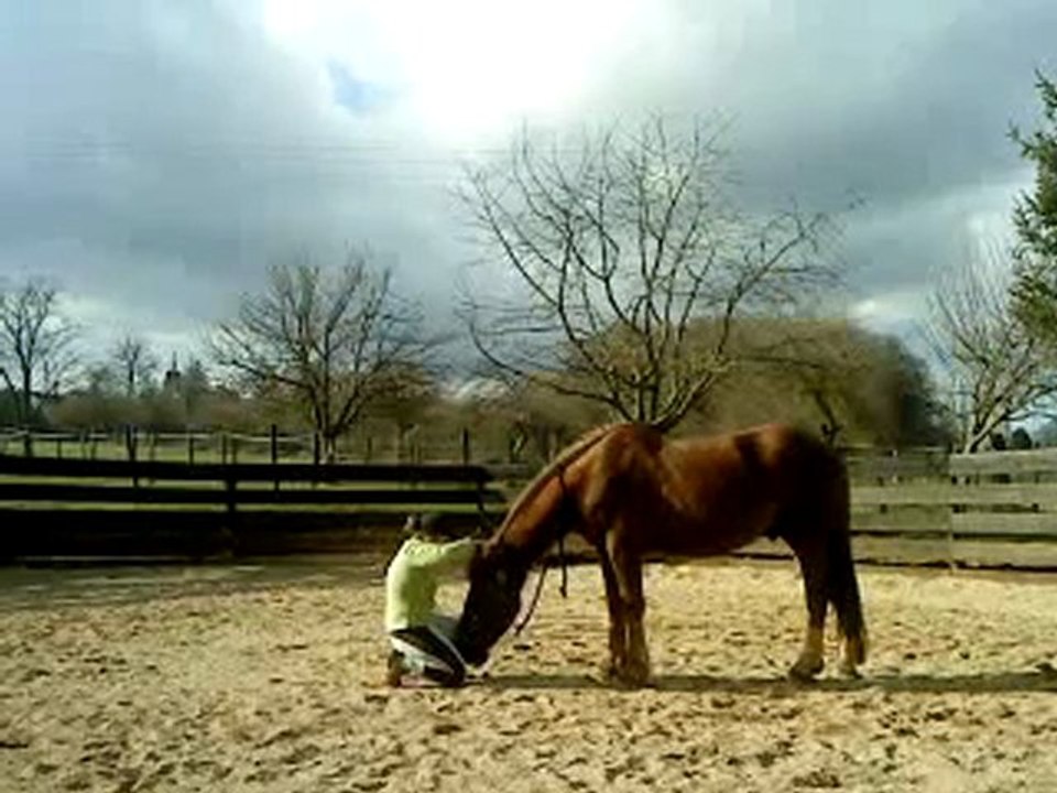 Bijou liberté dans le rond de longe