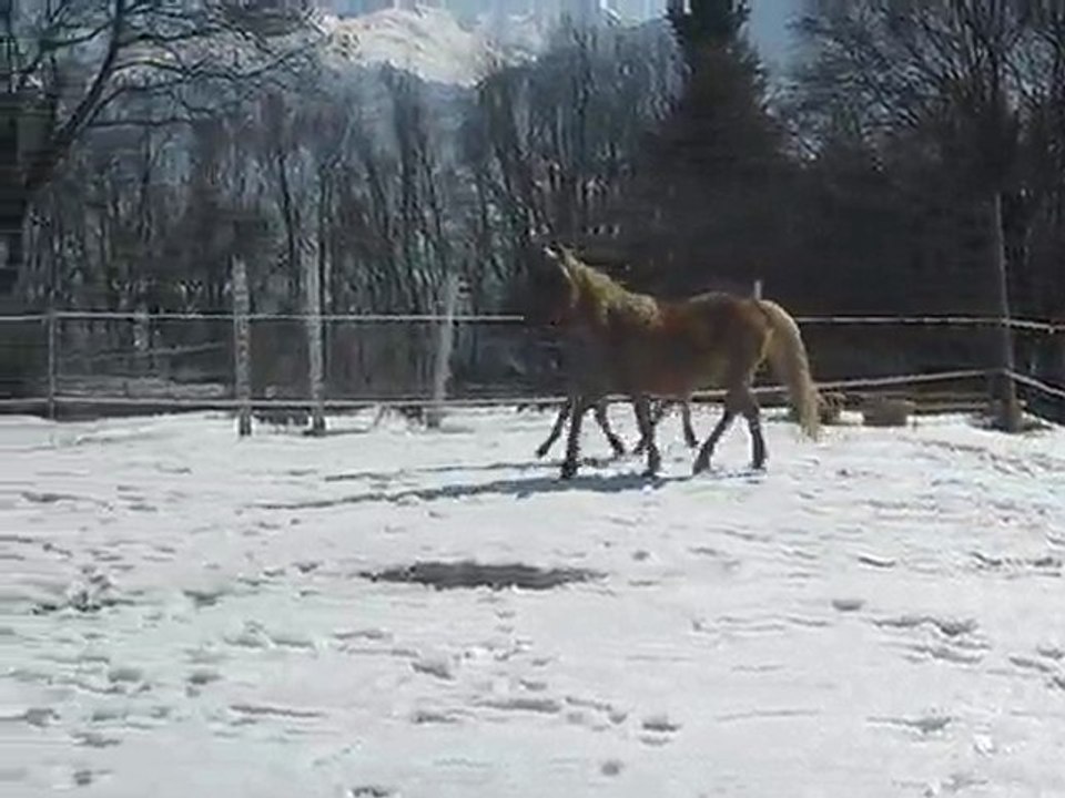 Winter du Binii