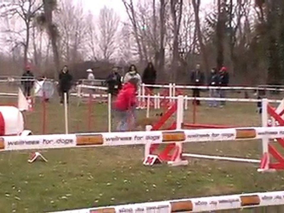 open viper Chécy