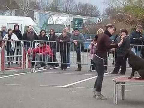 quimper mars 2010 089