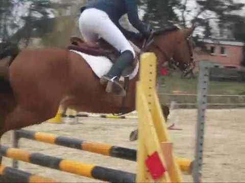 Cso Linaro club poney elite 1er & club poney 1