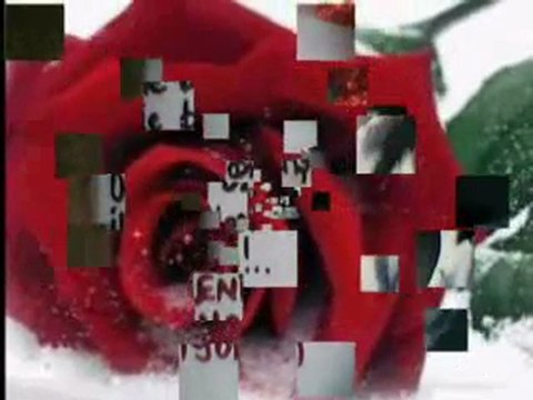 Korkmuyorum Seni Sevmekten