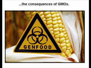 Monsanto Imagine (the consequences)