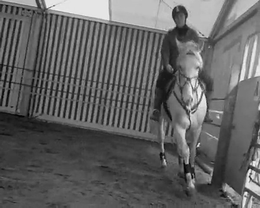 Le Dressage ( L )