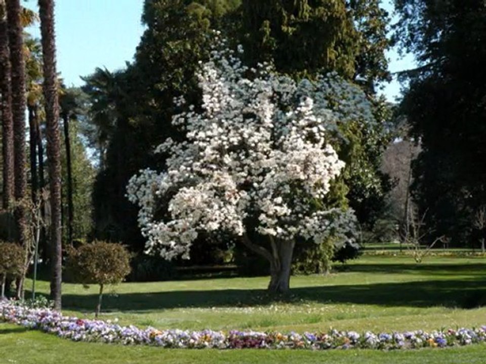 Printemps au Jardin Massey (Tarbes, Hautes-Pyrénées)