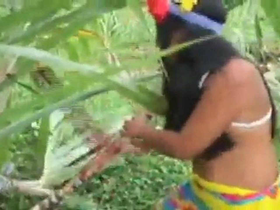 A day in the life of an Embera