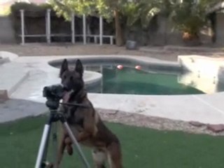 Youtube videos - This is the perfect cameraman