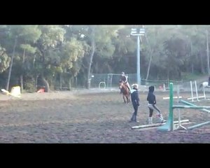 Reprise du 6 février 2010