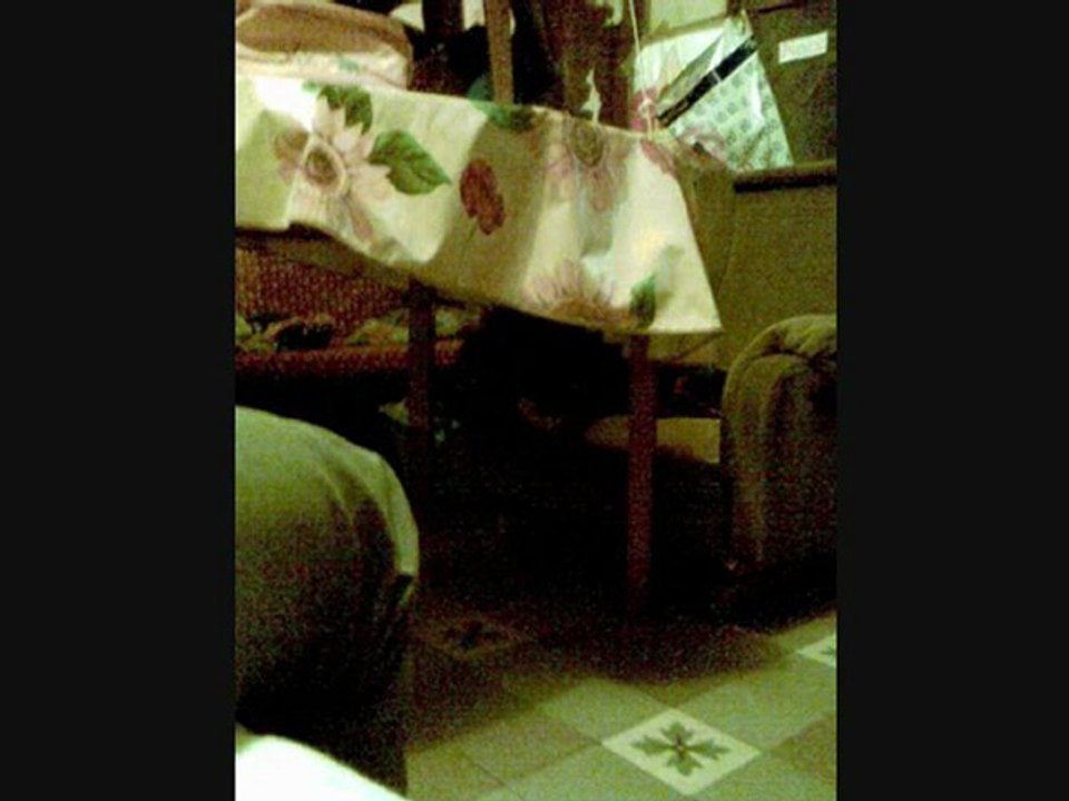 Hommage à notre Winnie qu'on aime