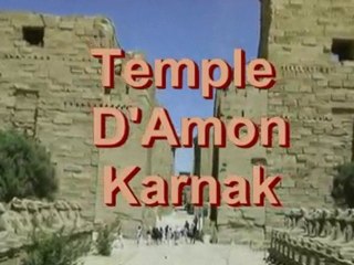 Les tournesols aux temples de Karnak et Louxor en Egypte